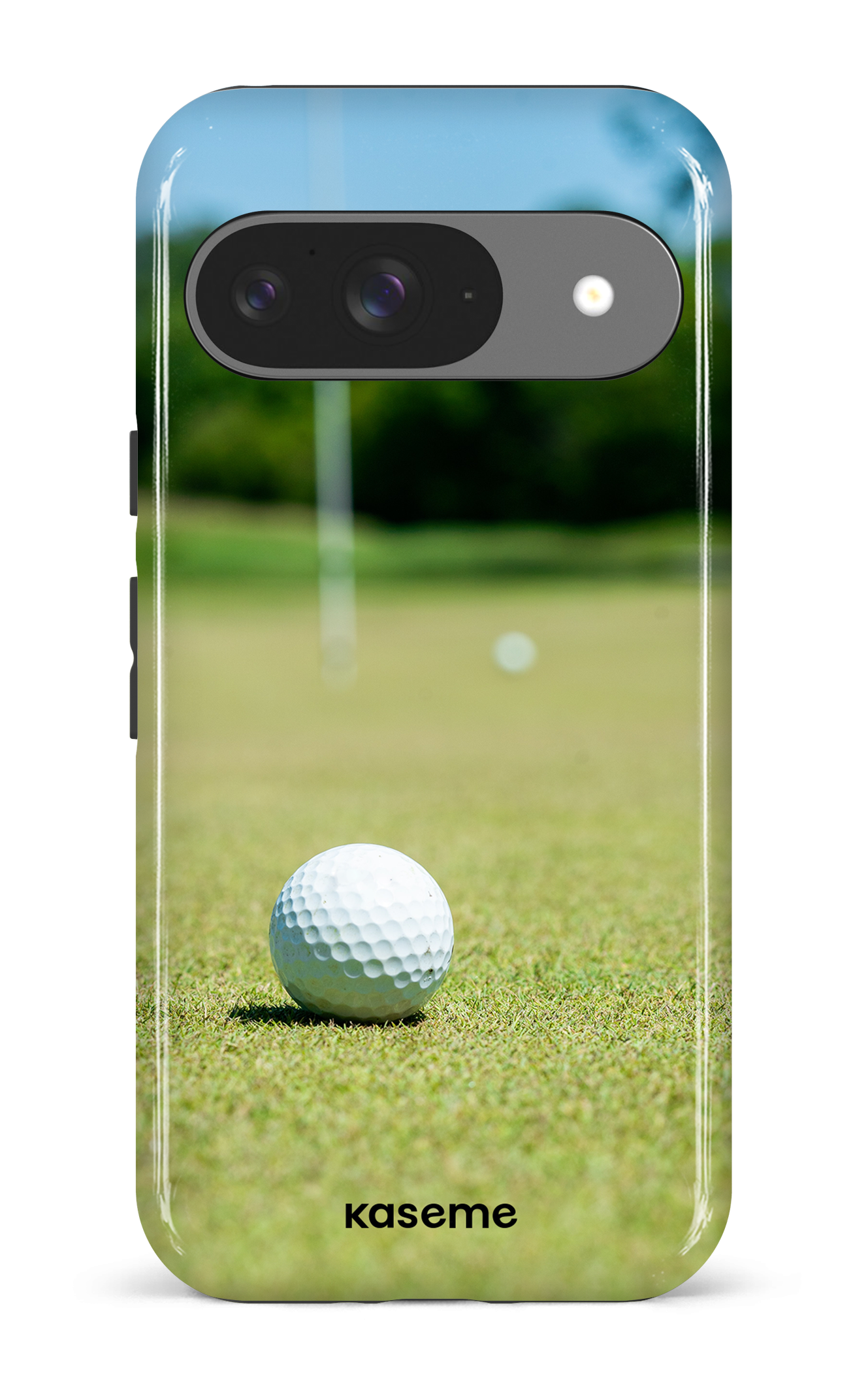 Google Pixel 9 Impact (Gloss) Eagle -