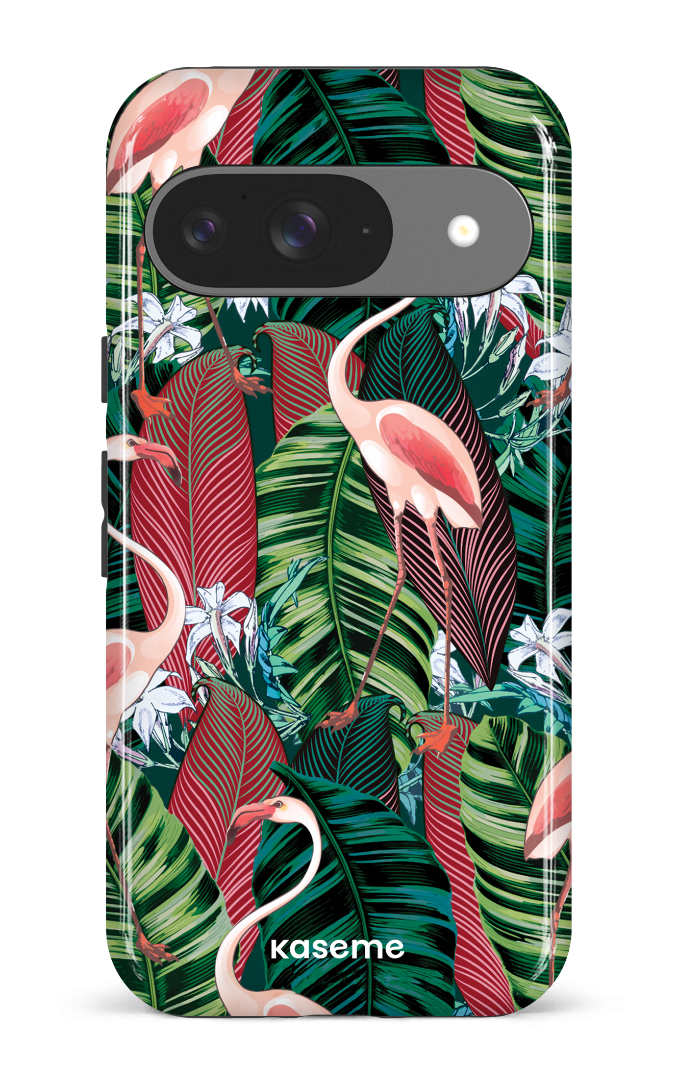 Google Pixel 9 Impact (Gloss) Lungala -