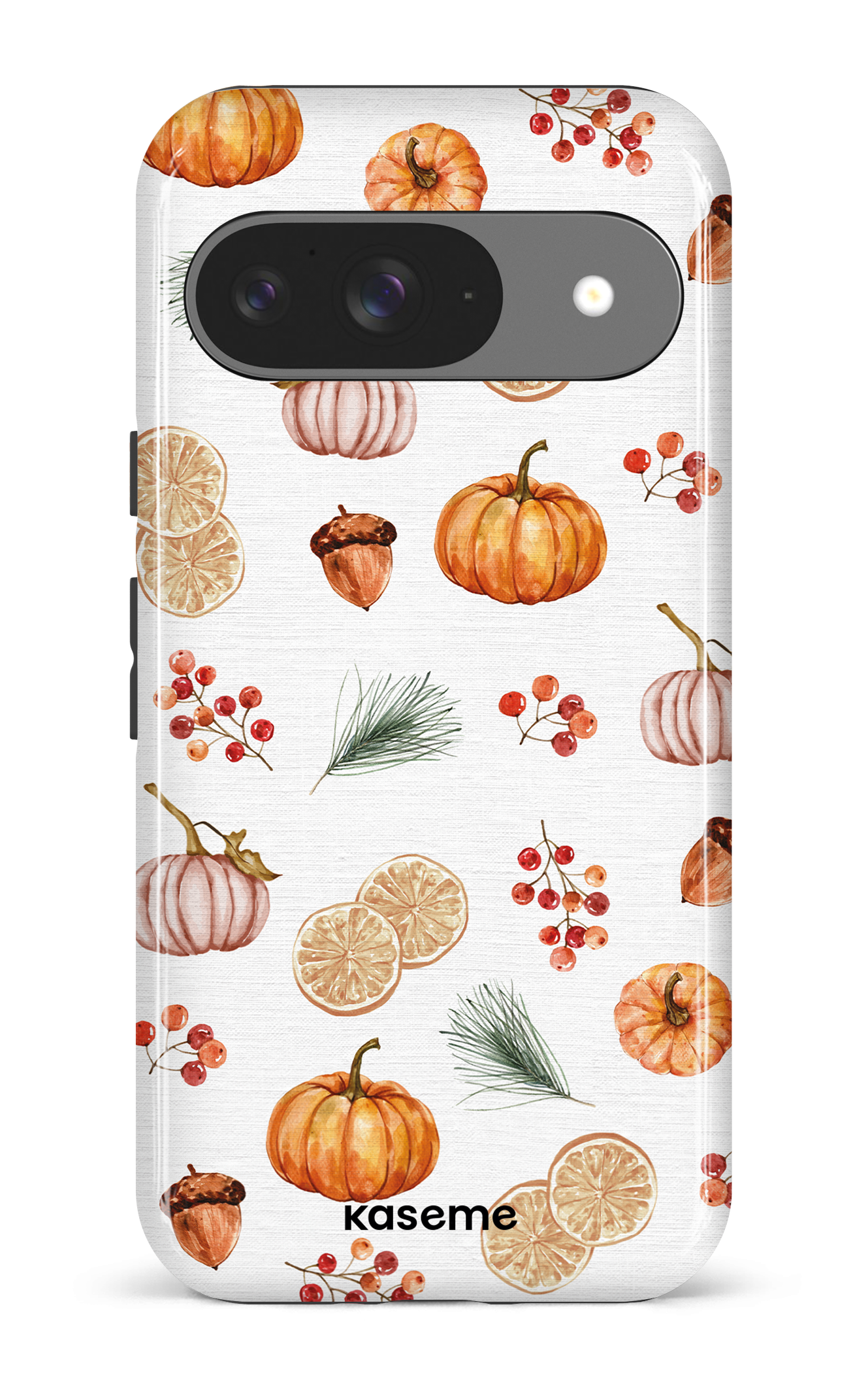 Google Pixel 9 Impact (Gloss) Pumpkin Garden -