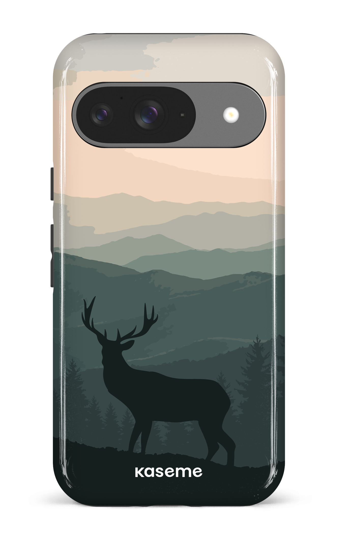 Google Pixel 9 Impact (Gloss) Timberland Blue -