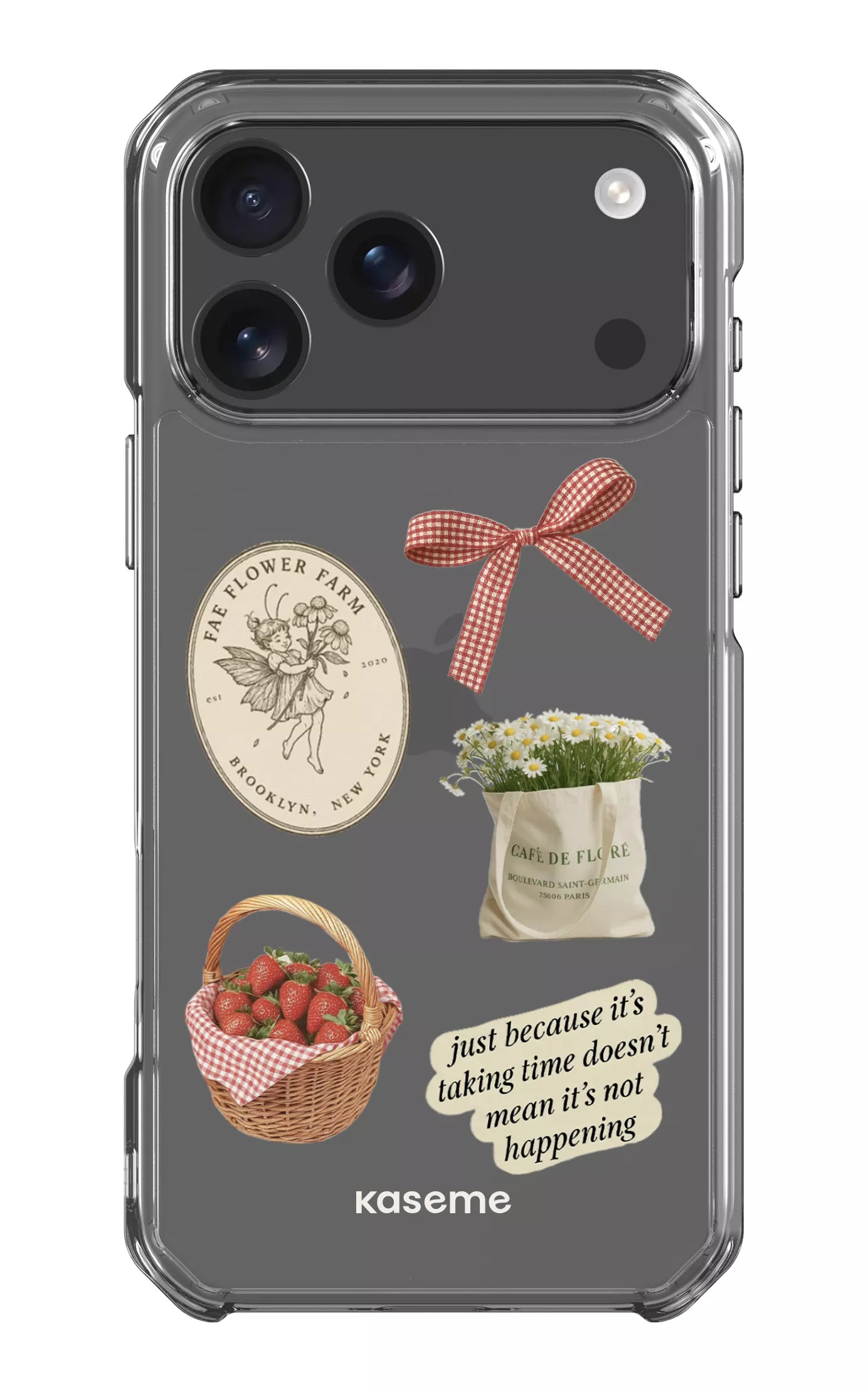  June Clear Case -