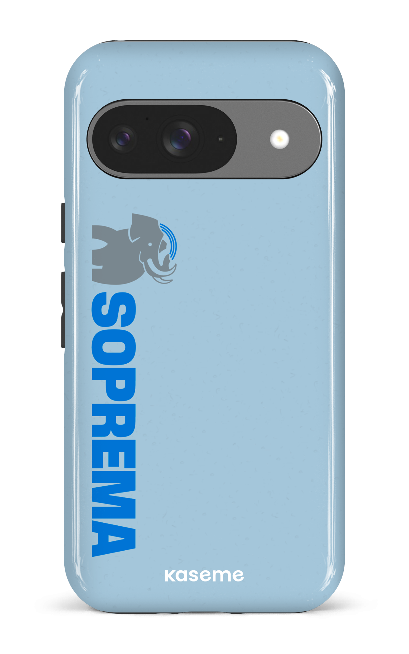 Soprema Bleu - Google Pixel 9 Impact (Gloss)