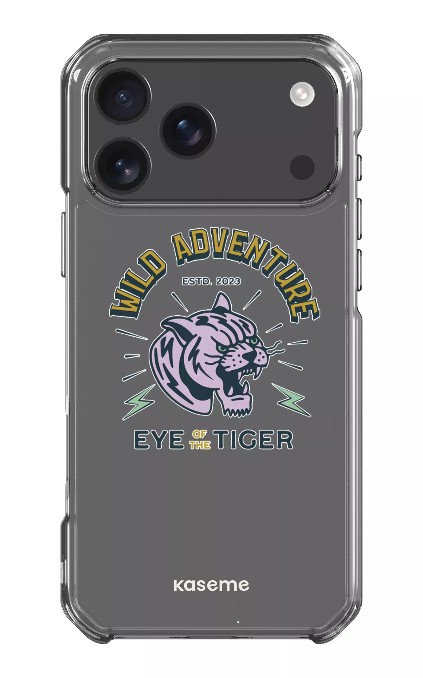  Wildcats Clear Case -