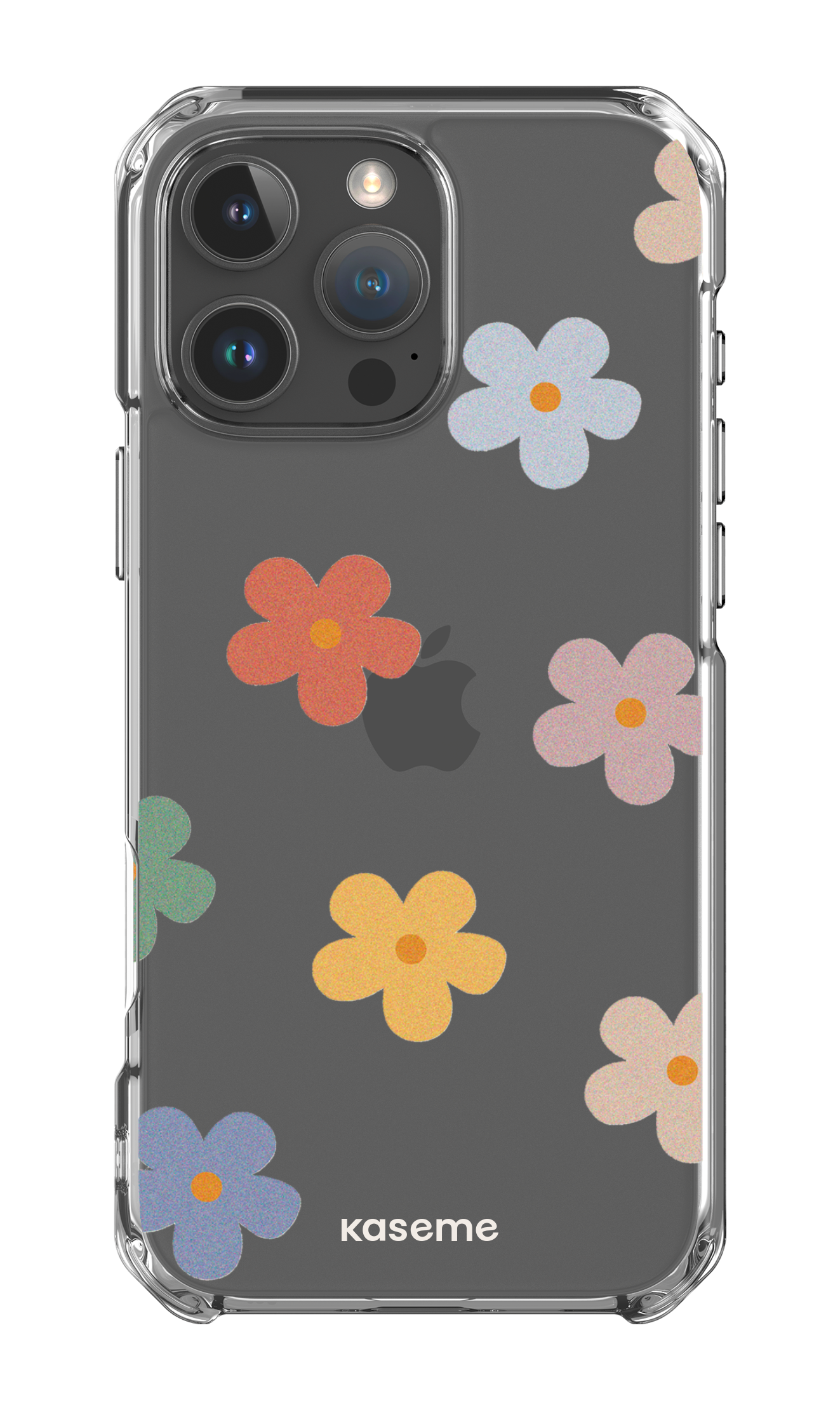  Woodstock Big Clear Case -