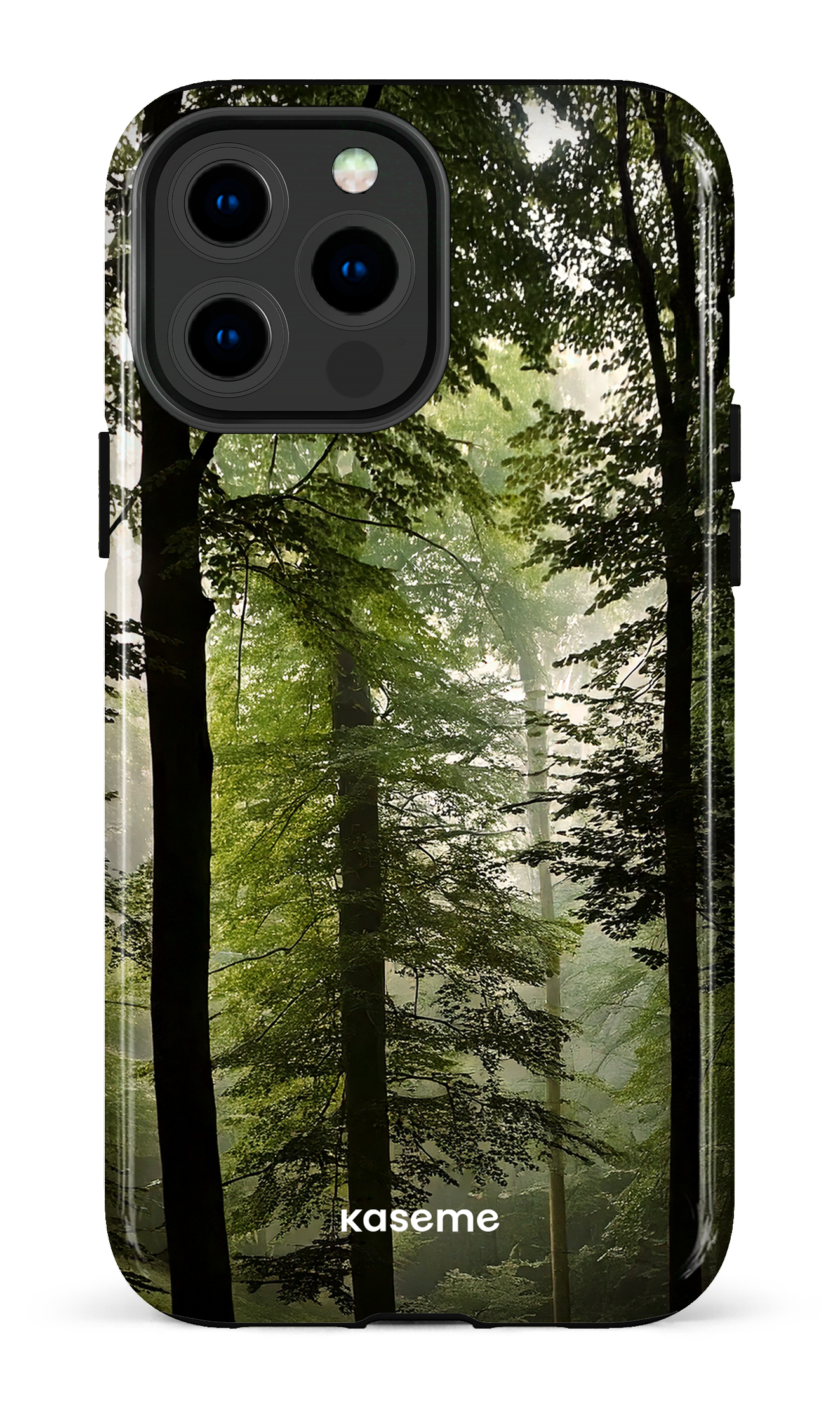 iPhone 13 Pro Max Tough Lost -