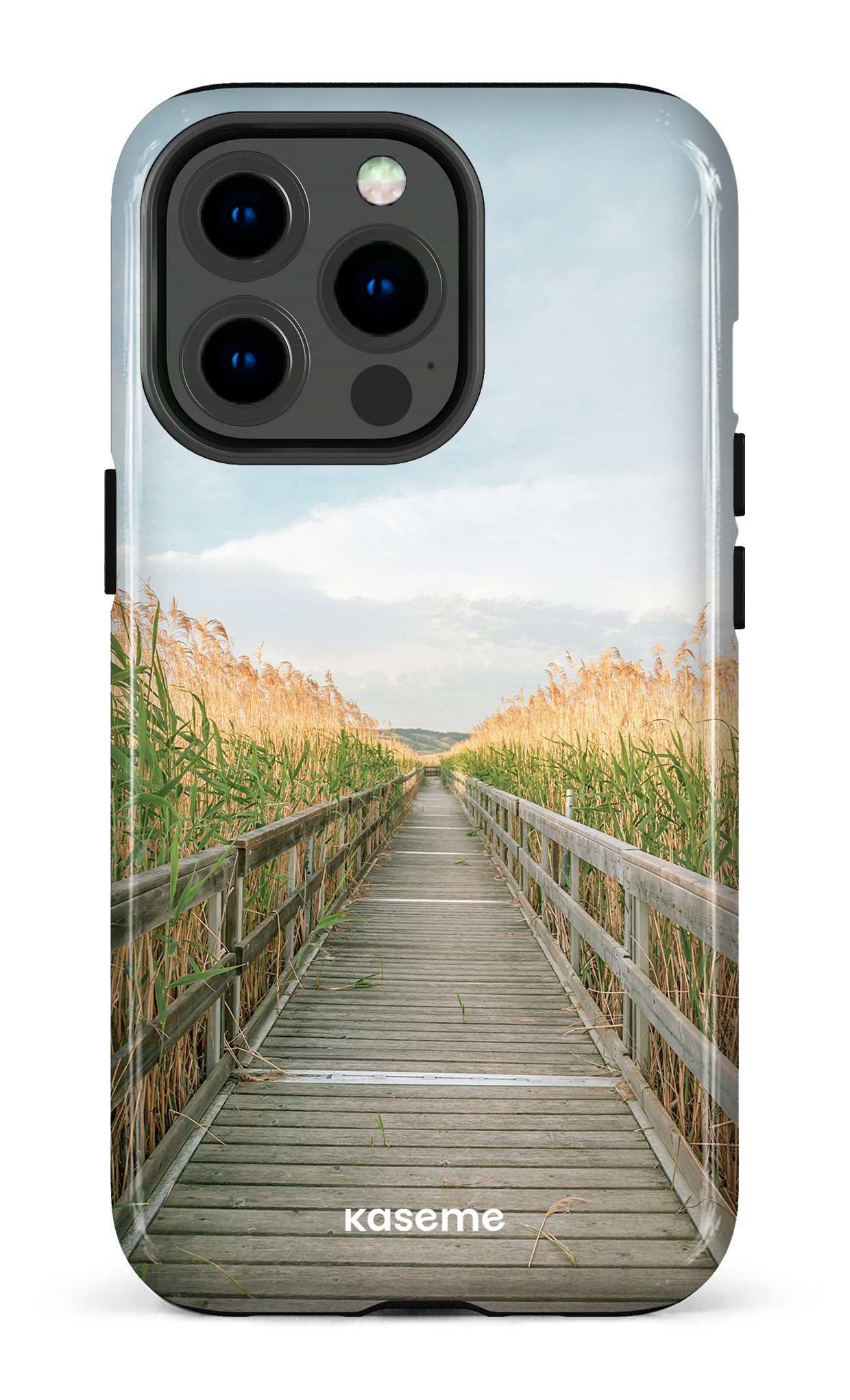 iPhone 13 pro Tough Wheatland Way -