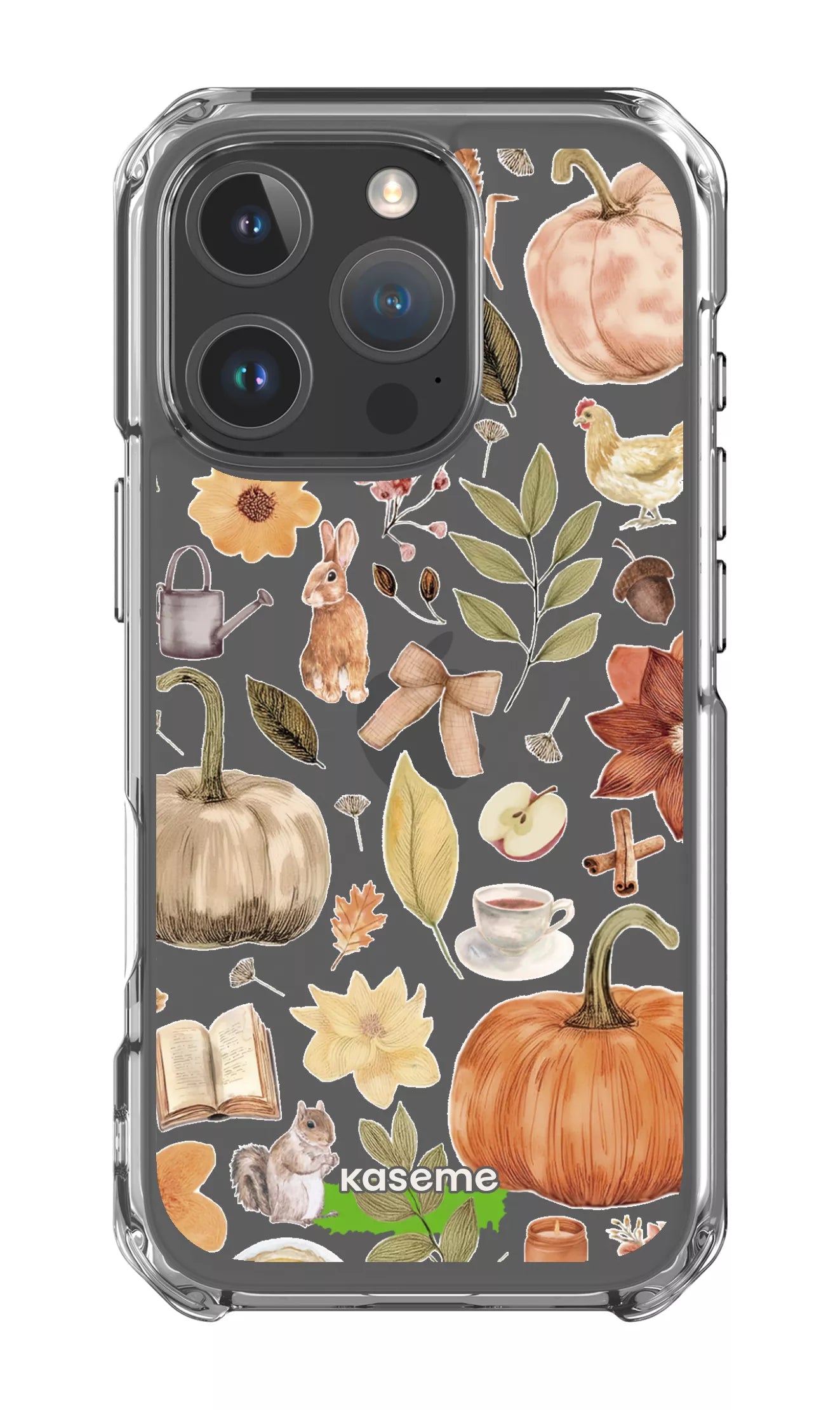 iPhone 16 Pro Clear Case Harvest Hues Clear Case -