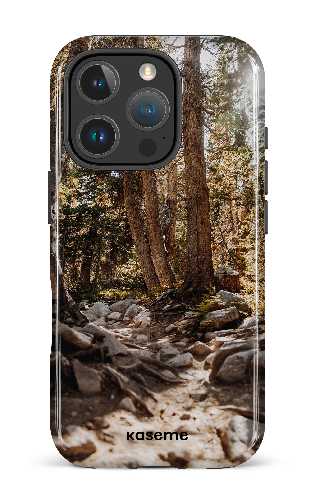 iPhone 16 Pro Impact Case Lane -