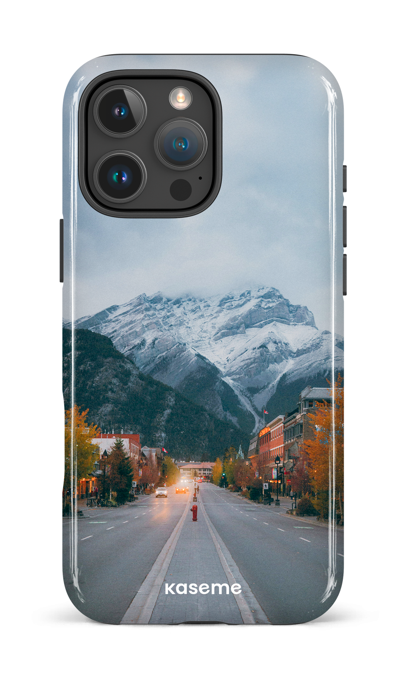 iPhone 16 Pro Max Impact Case Whistler Pines -