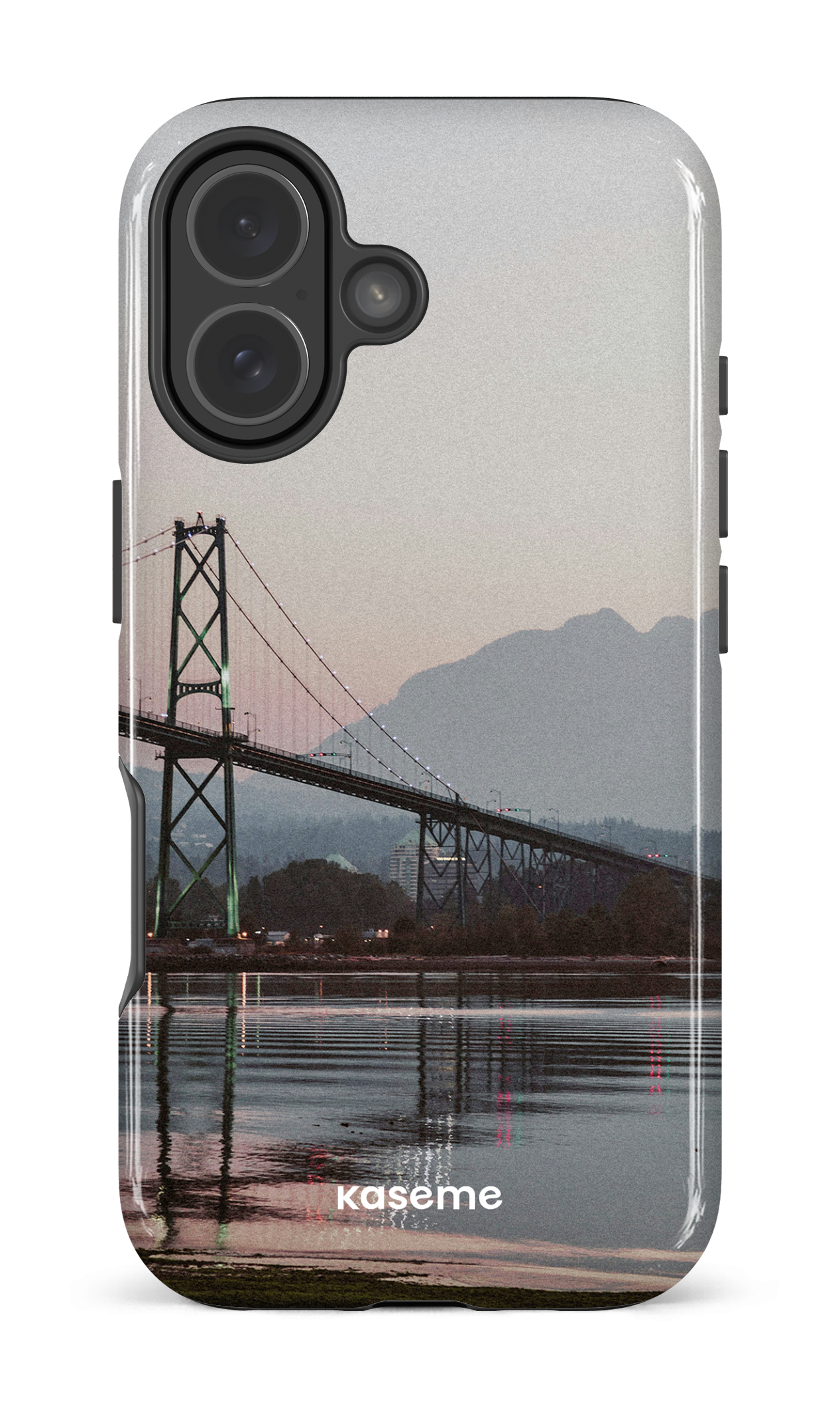 iPhone 17 Impact Case Lions View -