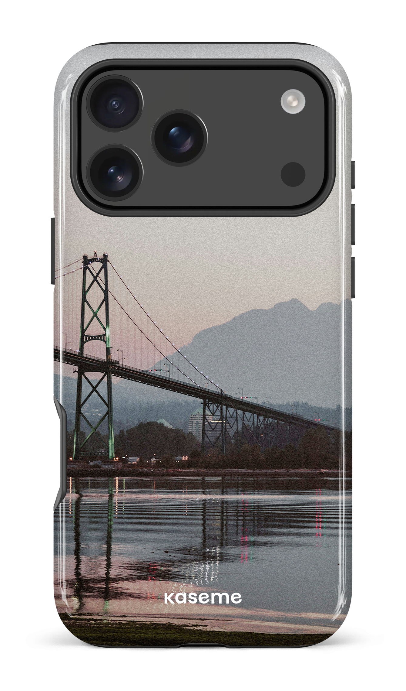 iPhone 17 Pro Max Impact Case Lions View -