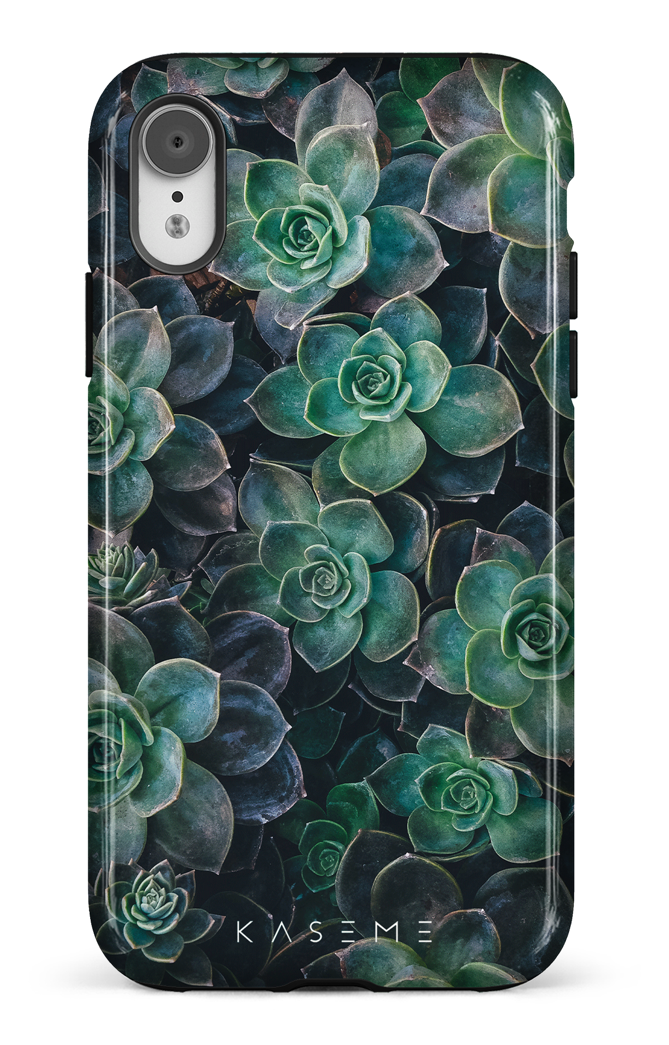 Succulente - iPhone XR