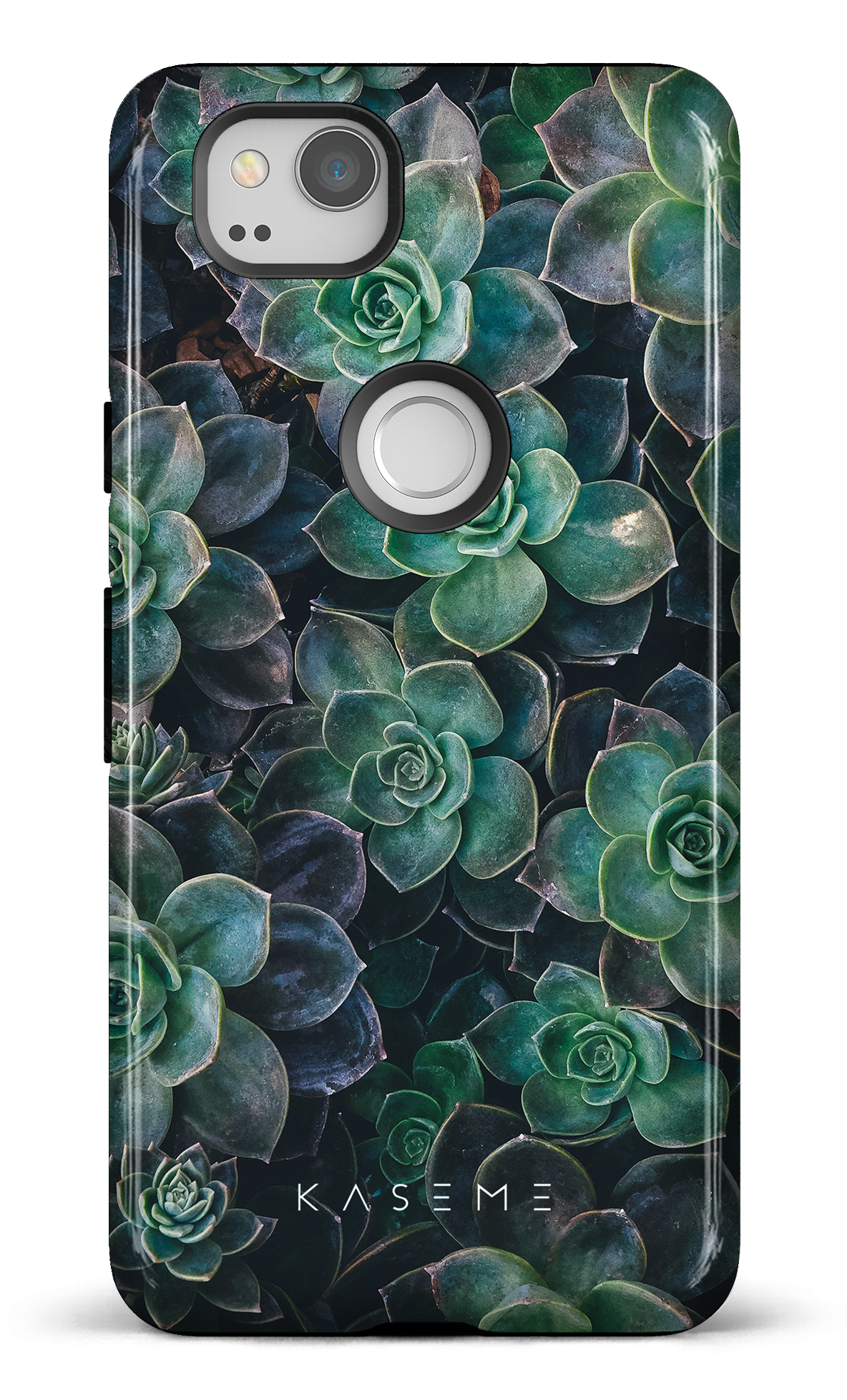 Succulente - Google Pixel 2