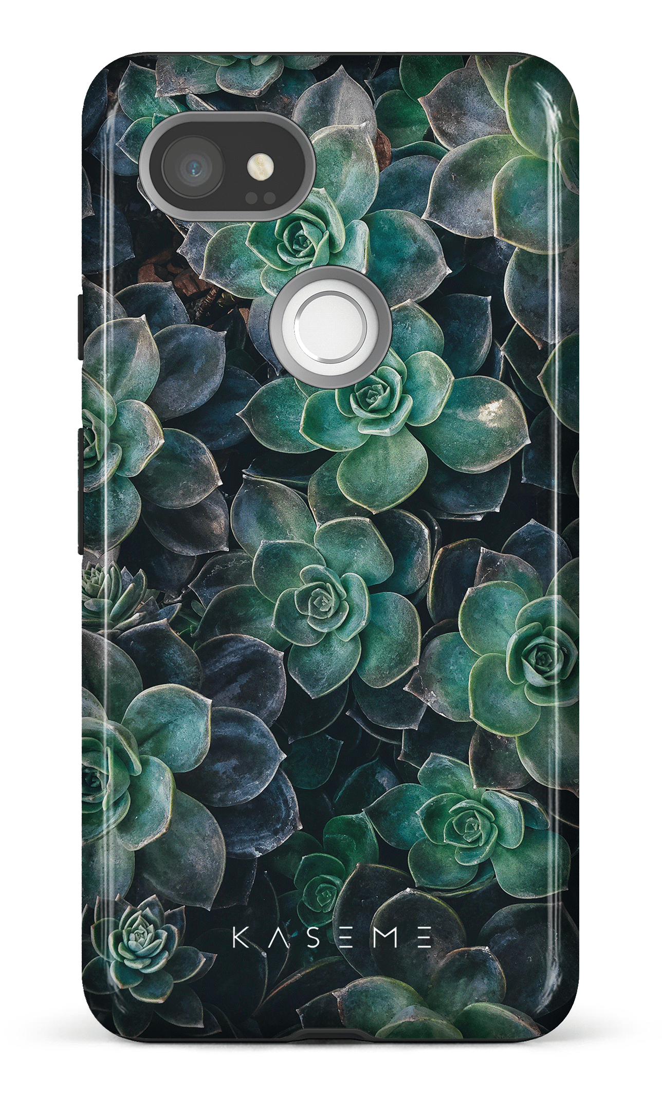 Succulente - Google Pixel 2 XL