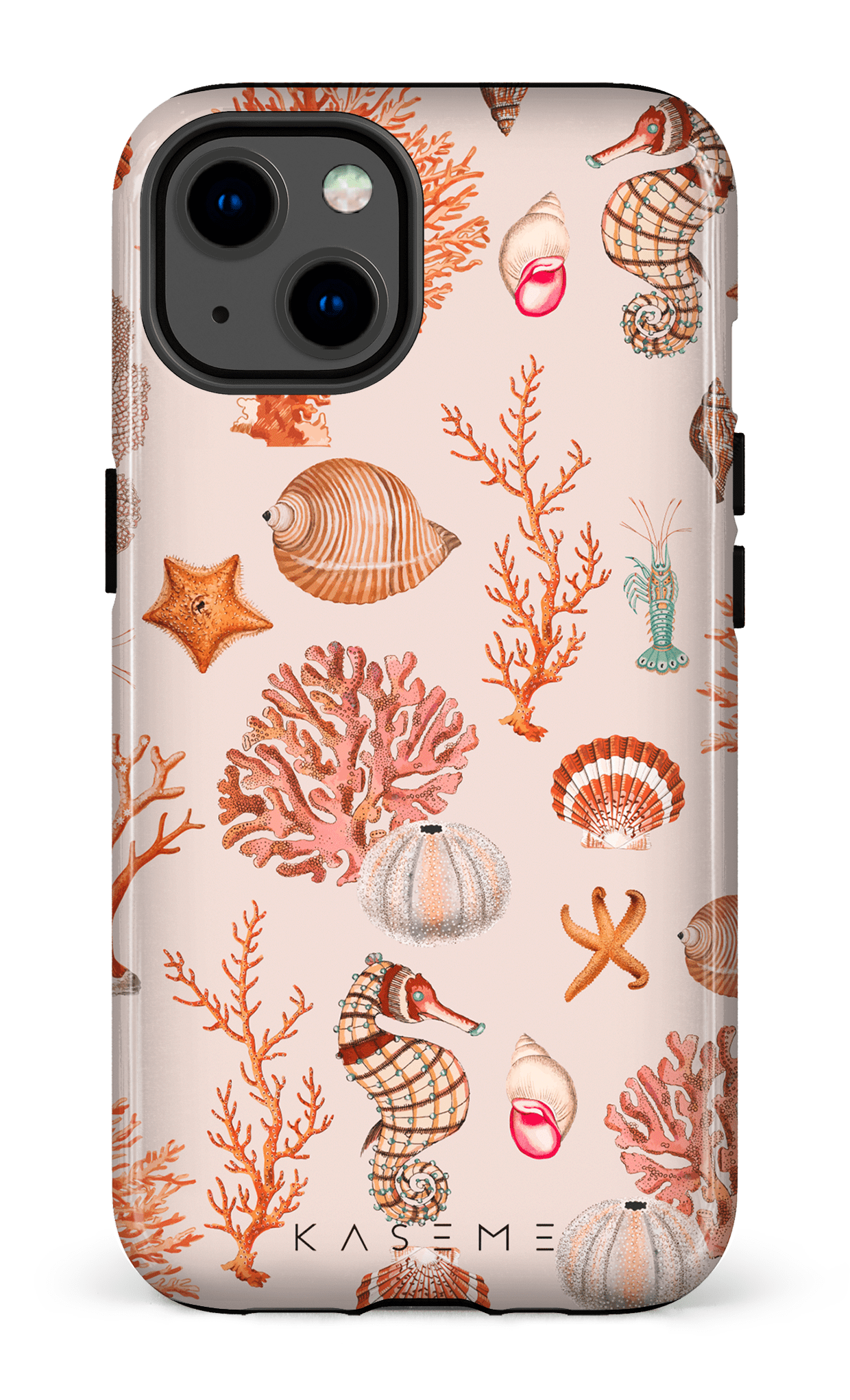 Ariel - iPhone 13