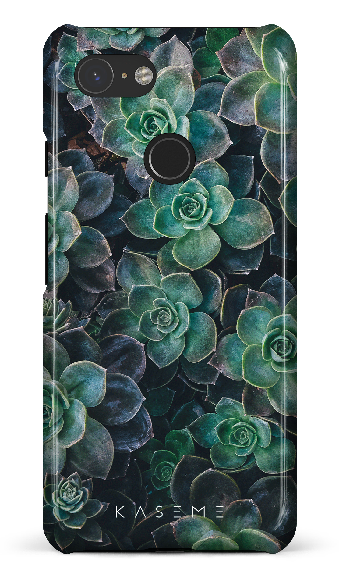 Succulente - Google Pixel 3