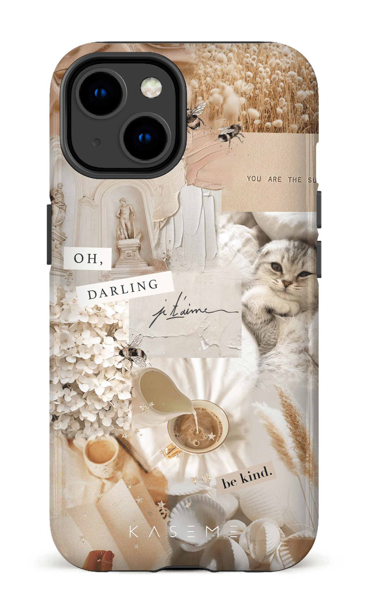 Cats collection