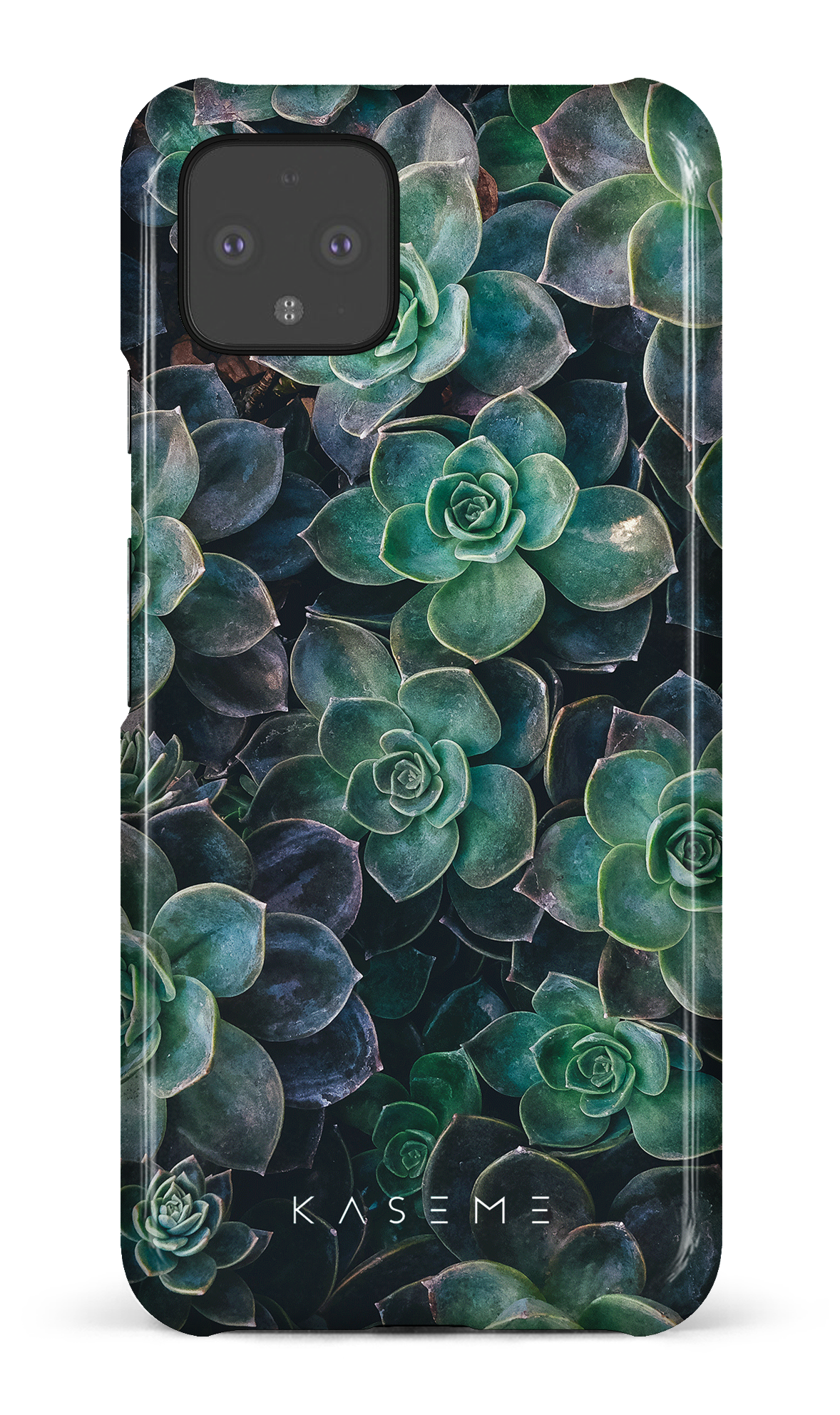Succulente - Google Pixel 4